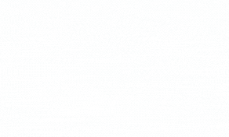 SAAPPO - Sales Automation and Power Platform Optimization